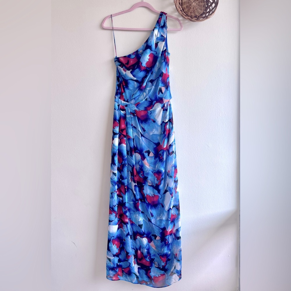 Cynthia Steffe Silk floor length dress